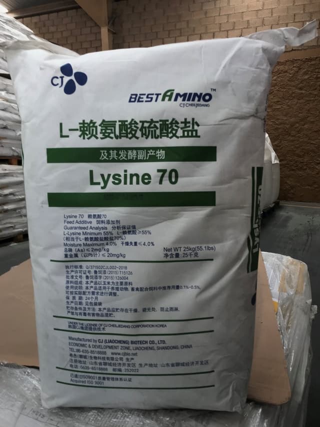 L-Lisina